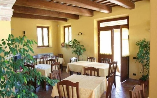 La Cicala