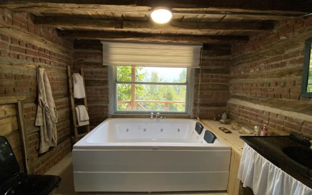 Secluded Wooden House in Sapanca
