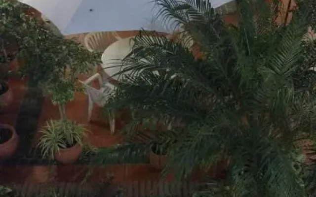 Hotel Holimasú