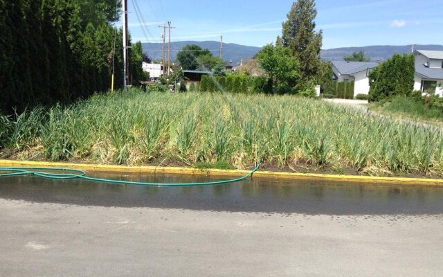 All Seasons Bed & Breakfast