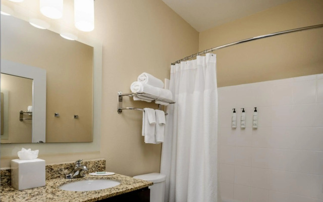 Towneplace Suites by Marriott Houston Galleria Area