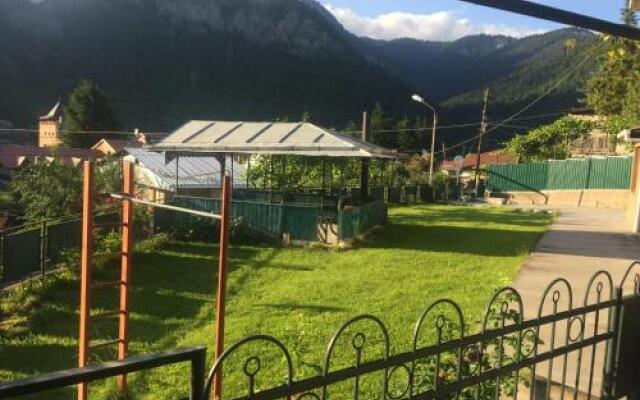 Green Yard