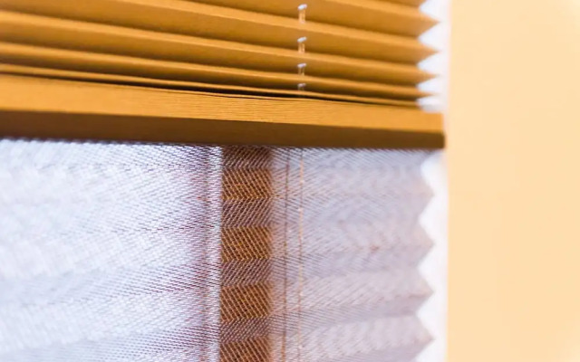 My Pavilion to Arasiyama & Gion