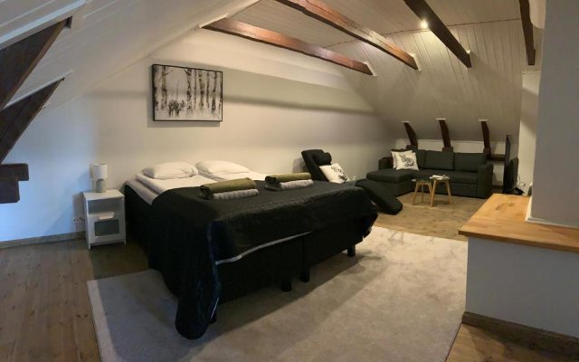 Unique open space loft studio in the attic