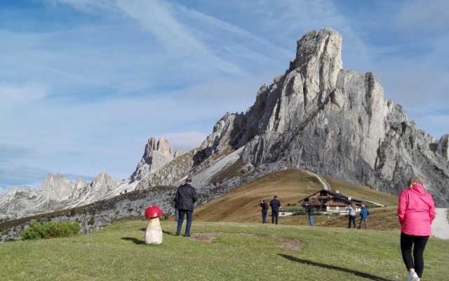 Bright apartment in Val di Fiemme with spacious terrace