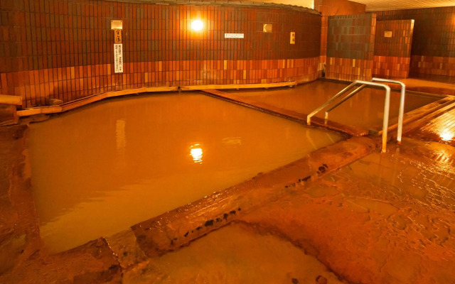 Shin Appi Onsen Seiryukaku