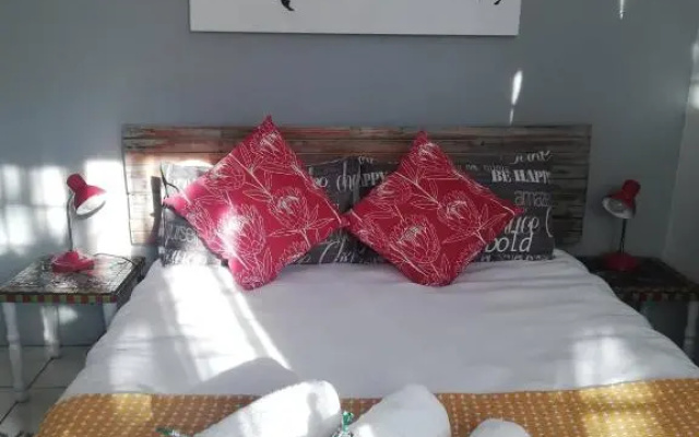 204 on Panorama