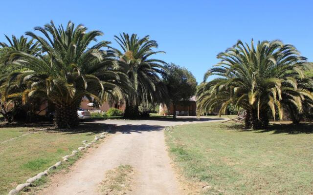 El Arbol Eco-Lodge - Hostel