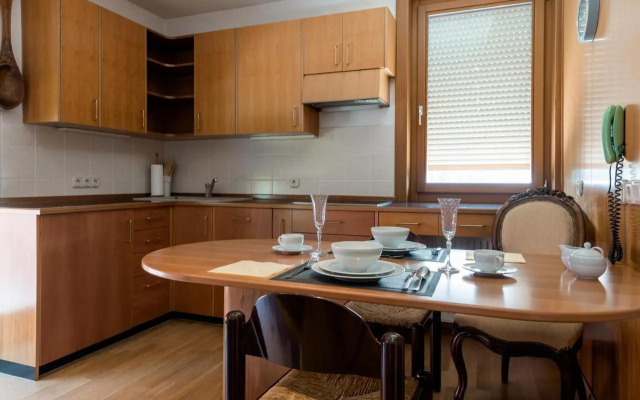 Rožna Dolina Apartment