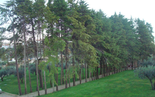 Palace Hotel & Spa Termas de S. Tiago