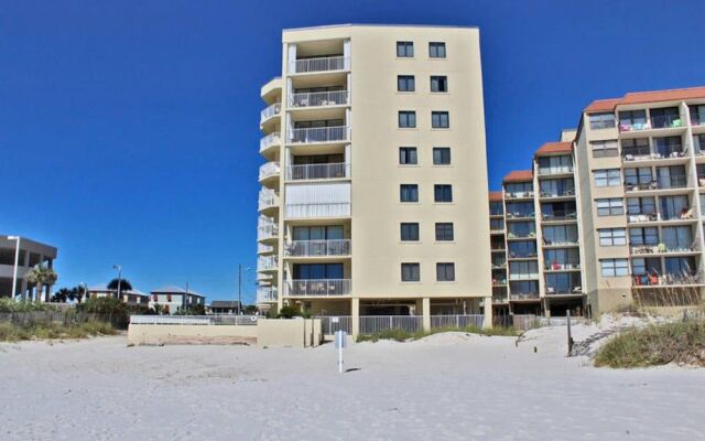 Whaler by Youngs Suncoast