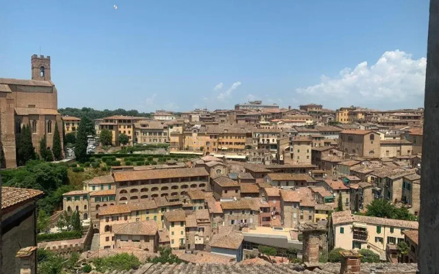 Top Floor - Franciosa