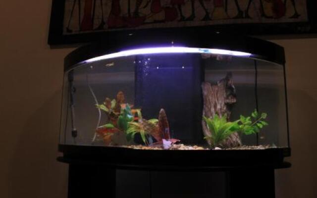 São Gonçalo I By Travel To Madeira