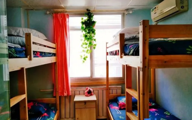 Tianjin Xinsentang International Youth Hostel – Guest Rooms – Tianjin