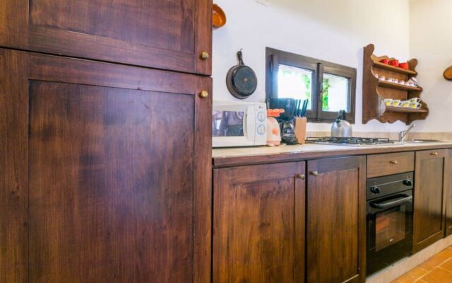 Bardeggiano - Caterina 4 (COL247)