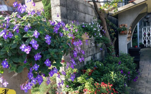 Puli Town Bed and Breakfast