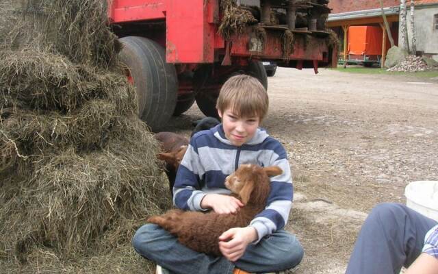 at the Organic Farm Angus-hof