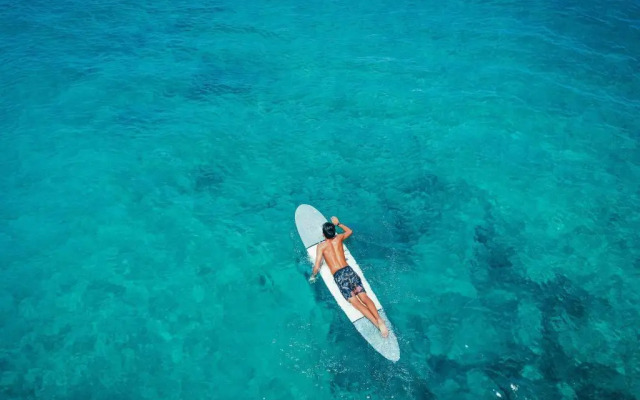 Lotus Honolulu at Diamond Head