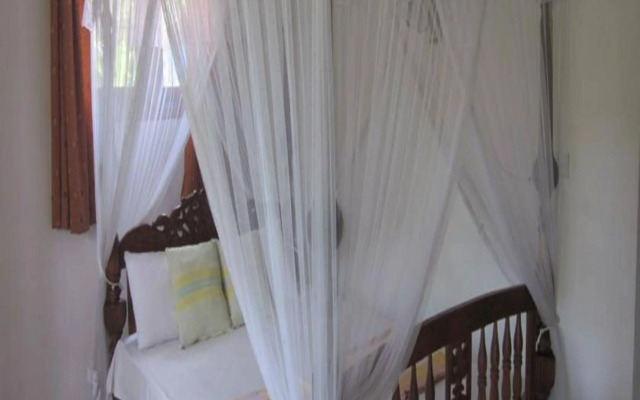 Palitha Guesthouse Hotel Dandelion