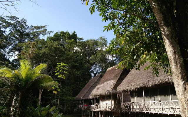 Lodge Jungle Wolf Expeditions