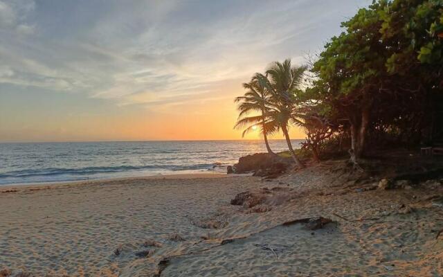 Modern Apartment with ocean view (Playa Encuentro)