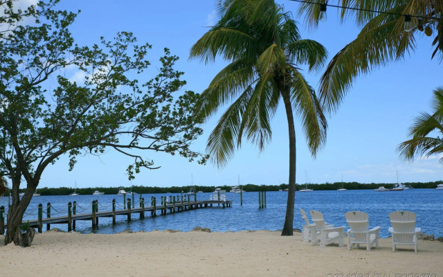 Coconut Palm Inn