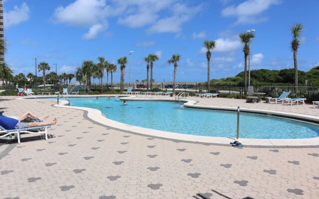 Emerald Dolphin by Surfside VR