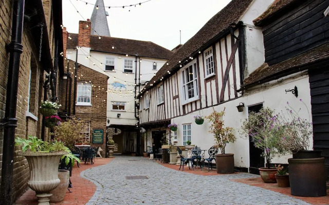 The Blue Boar - Maldon