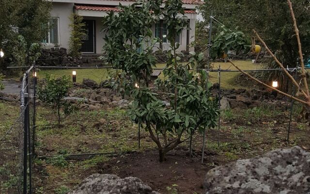 Supgol Pension