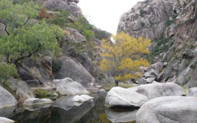 Cabañas Esferas de Cristal