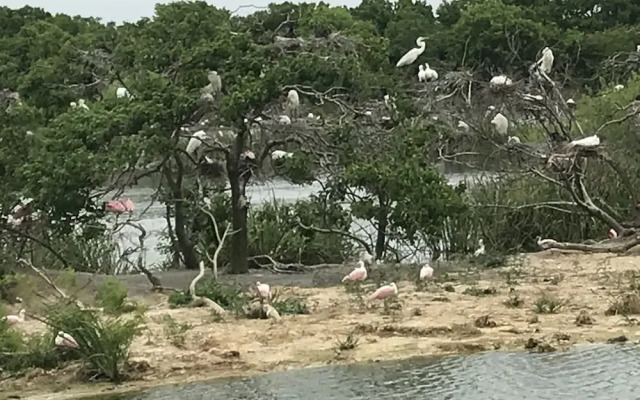 Out by the sea Bed & Breakfast