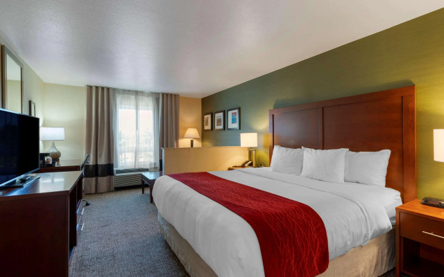 Comfort Inn and Suites Salem