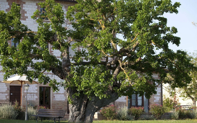 Country House Parco Ducale