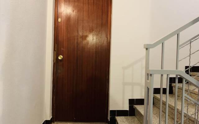 Tulipe Studio
