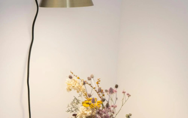 Oporto Sweet Home IV