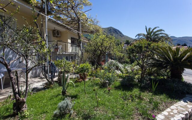Apartments Djurkovic
