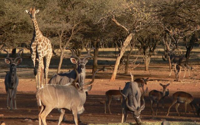 Ohange Namibia Lodge