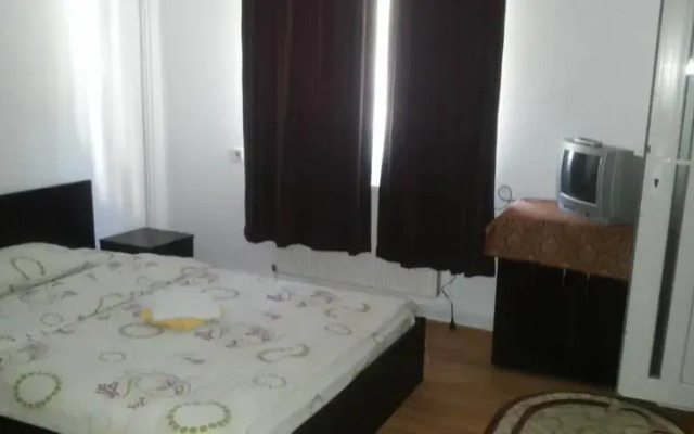 Pensiunea Puiu