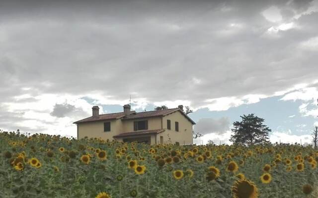 La strada bianca