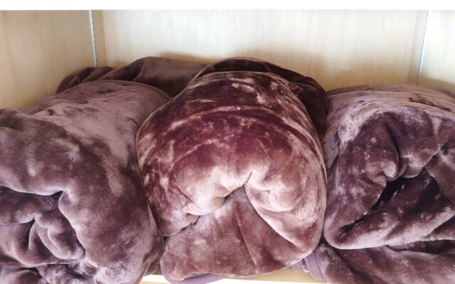 Sapporo Biosukan 1116 Room