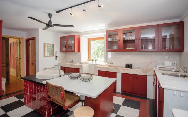 Local 9 - Casa do chapim azul