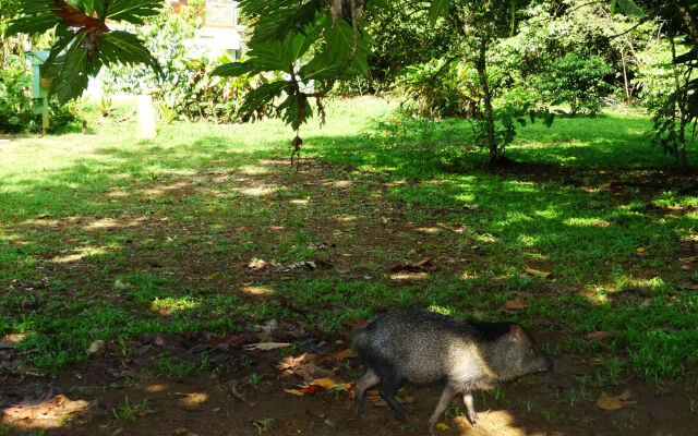 La Selva Biological Station