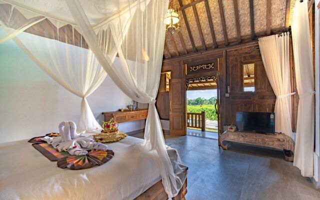 Nanang Antique Ubud Villa