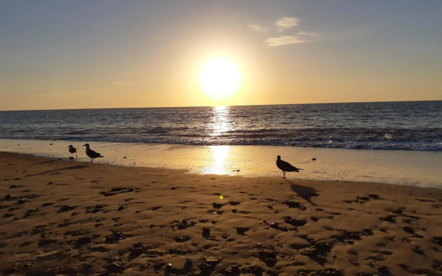 Apartamento La Gaviota