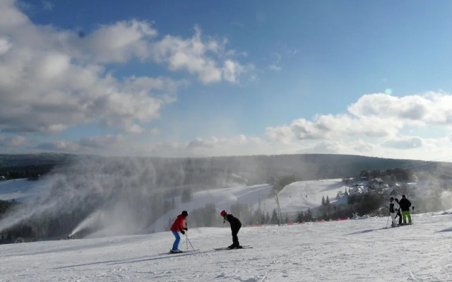 Ferienhaus mit Sauna in Winterberg