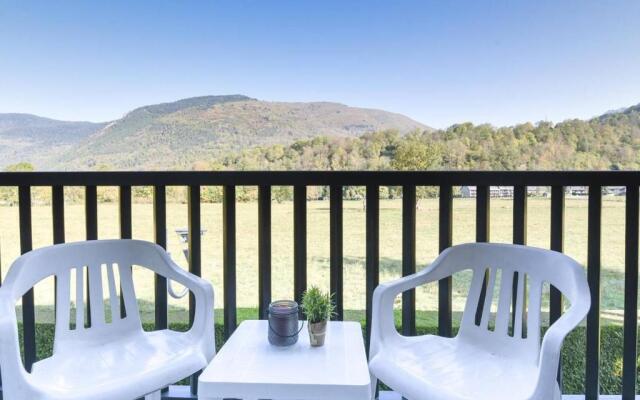 Appartement Saint-Lary-Soulan, 2 pièces, 4 personnes - FR-1-296-223