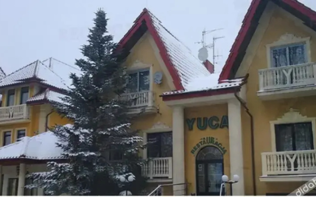 Yuca