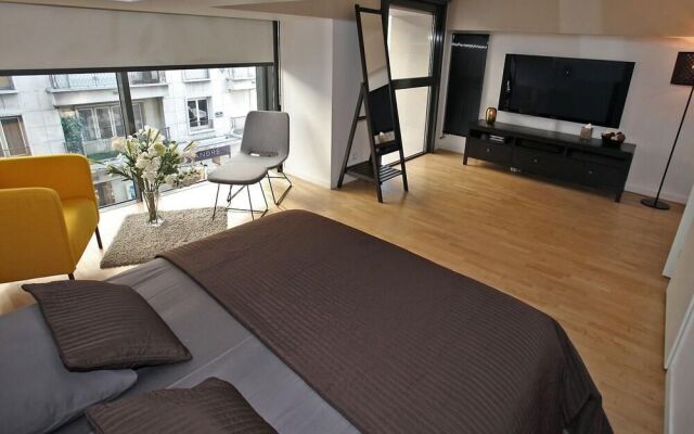 Annecy, Modern duplex in the city center