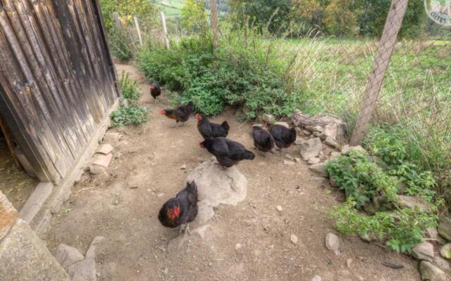Gîte Saint-Bonnet-le-Courreau, 5 pièces, 6 personnes - FR-1-496-9