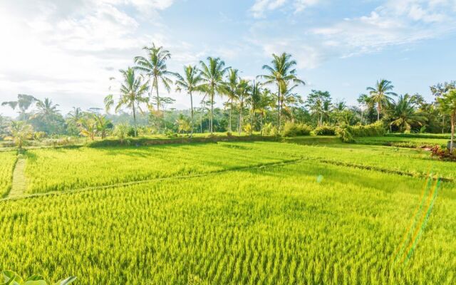 ZEN Rooms Kedisan Tegal Alang Ubud Villa